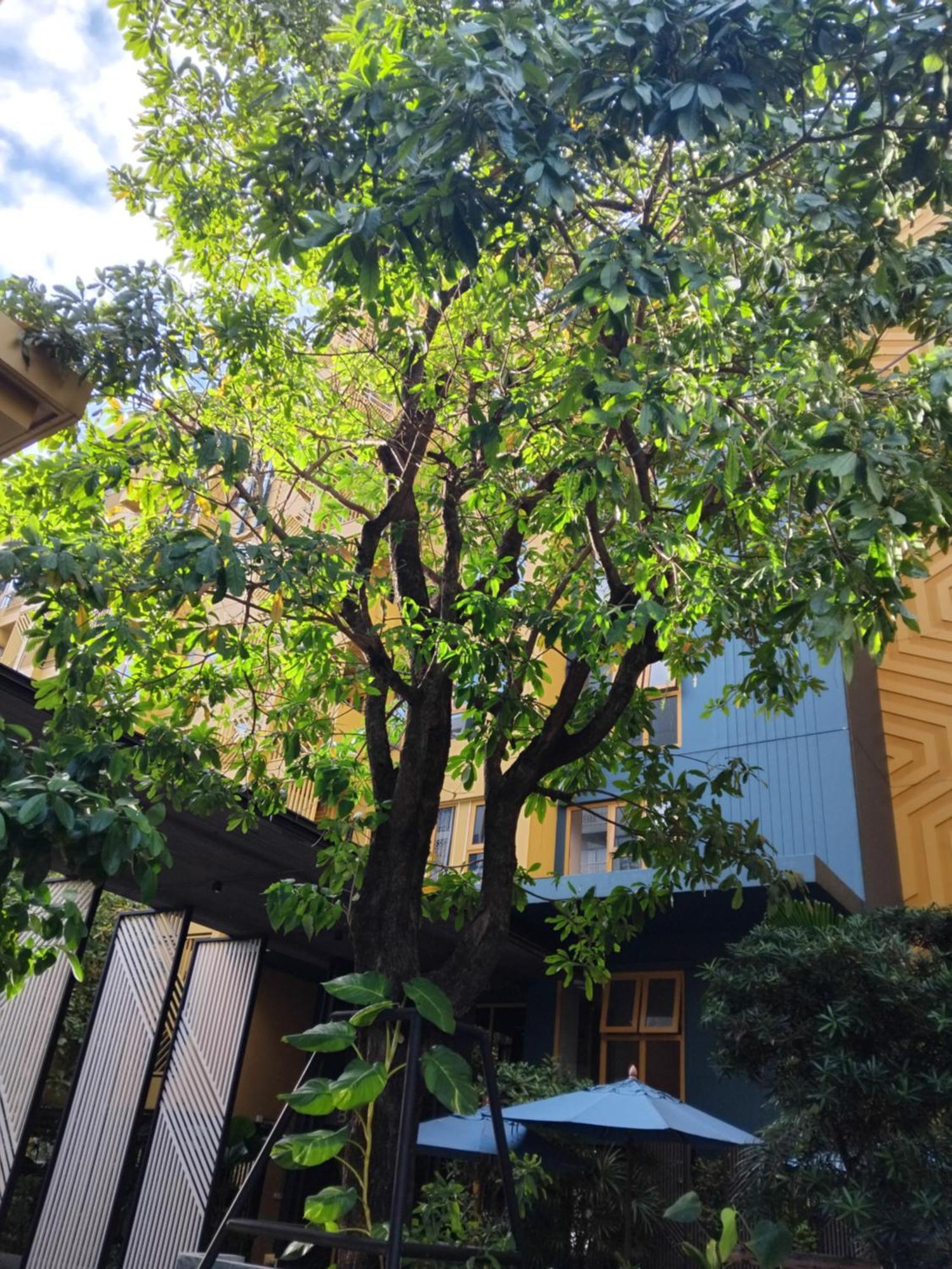 Brissluxe At Bts Onnut Sukumvit 50 Apartment Банкок Екстериор снимка
